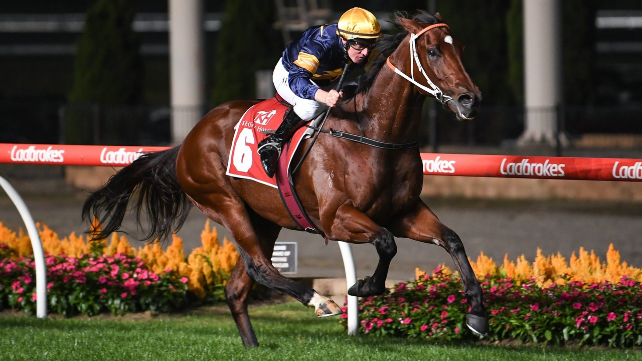 Masked Crusader has the potential to dethrone Nature Strip- ... Image 1